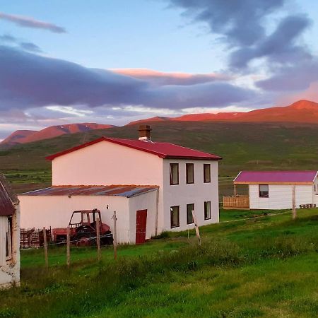 Skarth Guesthouse Saudarkrokur Bagian luar foto