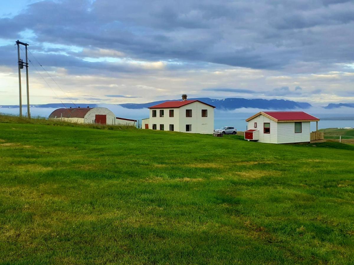 Skarth Guesthouse Saudarkrokur Bagian luar foto