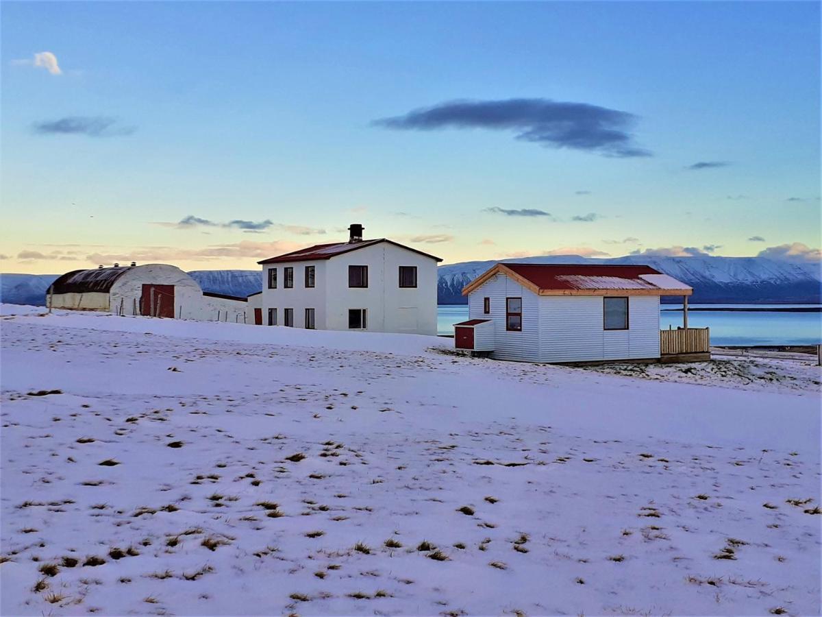 Skarth Guesthouse Saudarkrokur Bagian luar foto