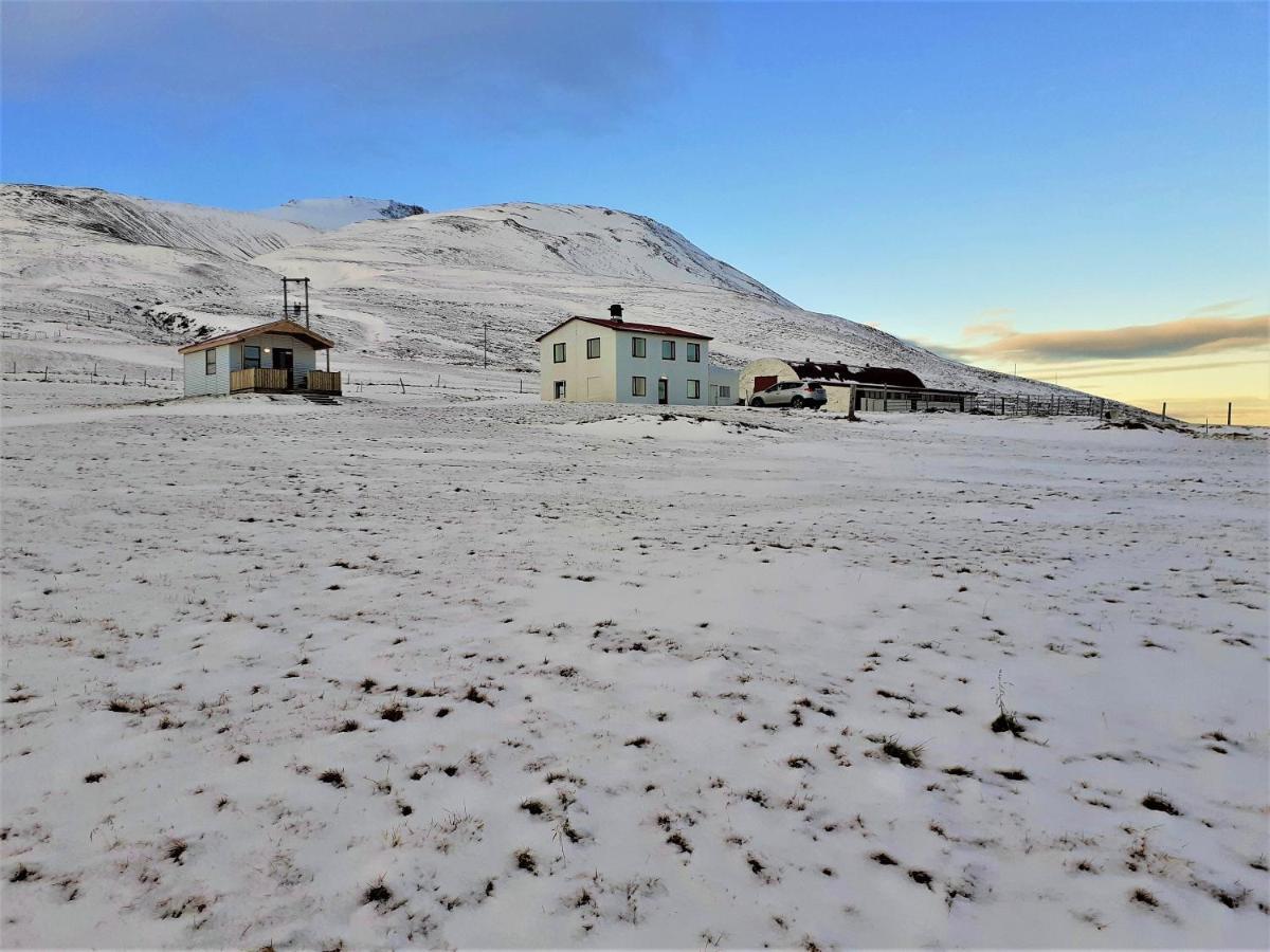 Skarth Guesthouse Saudarkrokur Bagian luar foto